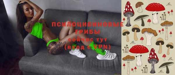 ПСИЛОЦИБИНОВЫЕ ГРИБЫ Алзамай
