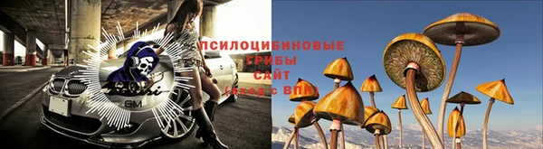 mdpv Алексин