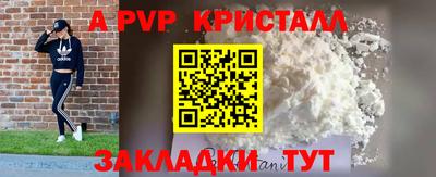 стаф Кунгур