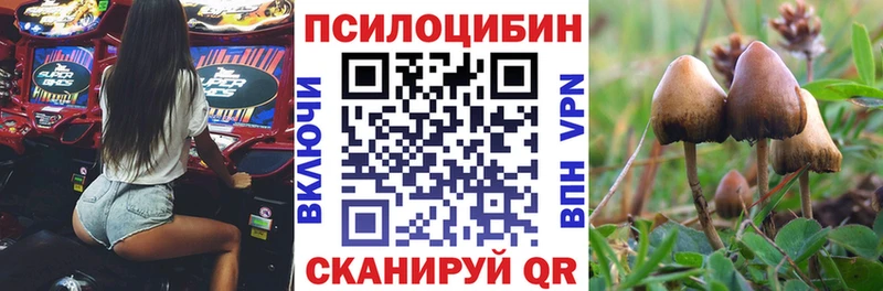 Галлюциногенные грибы мухоморы  закладки  Йошкар-Ола 