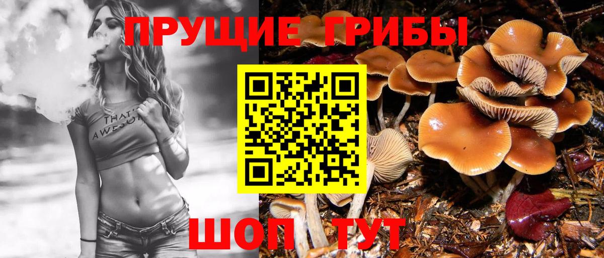 Псилоцибиновые грибы прущие грибы  Вход с VPN  Йошкар-Ола 